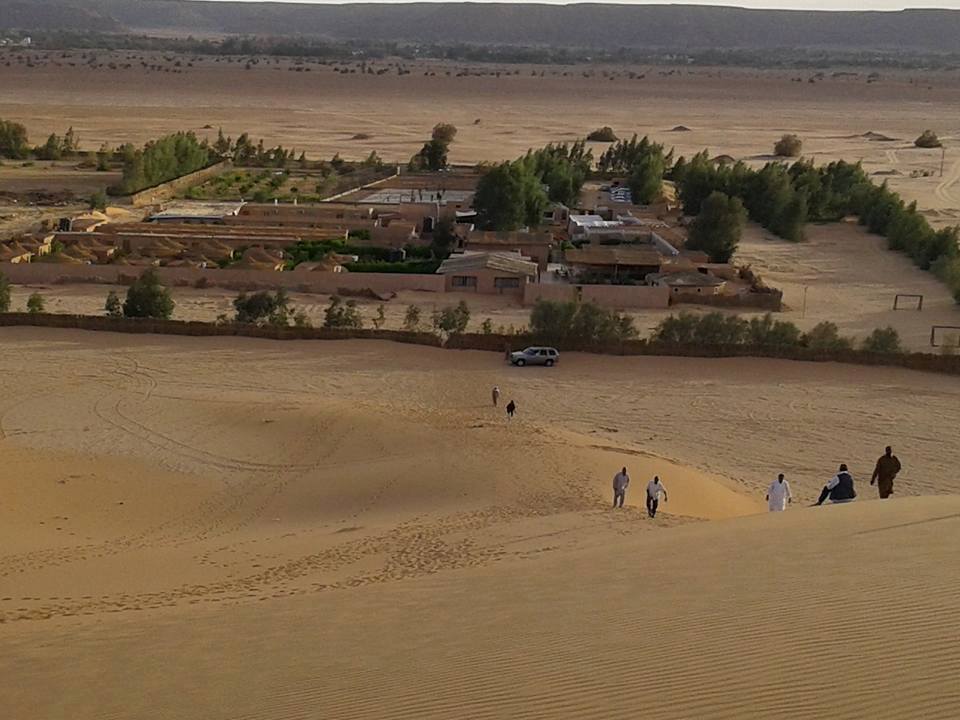 النسخة المصغرة